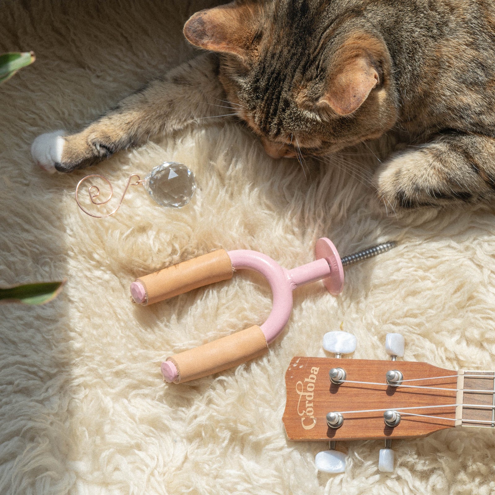 Ukulele Hanger x Nevada Blvd