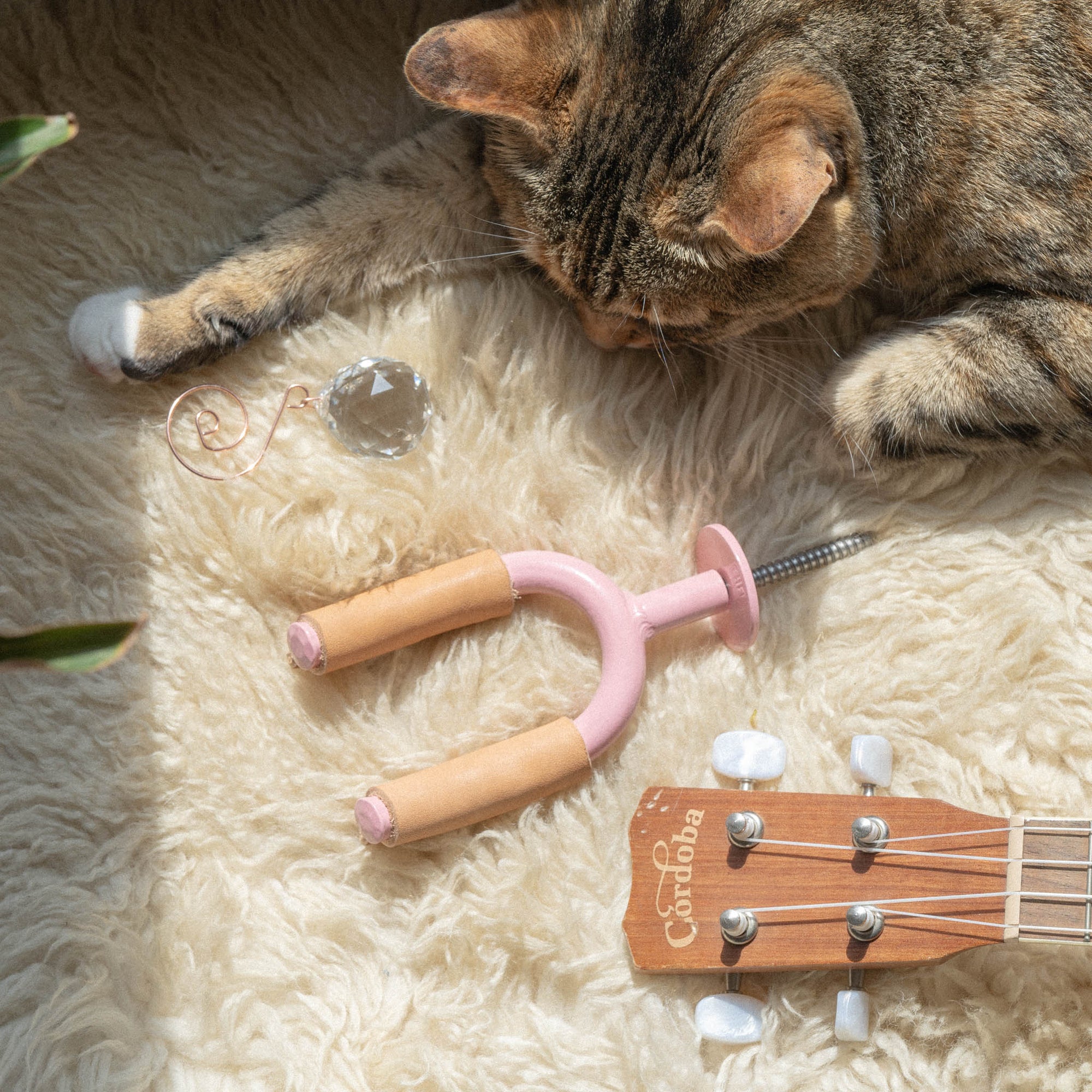 Ukulele Hanger x Nevada Blvd