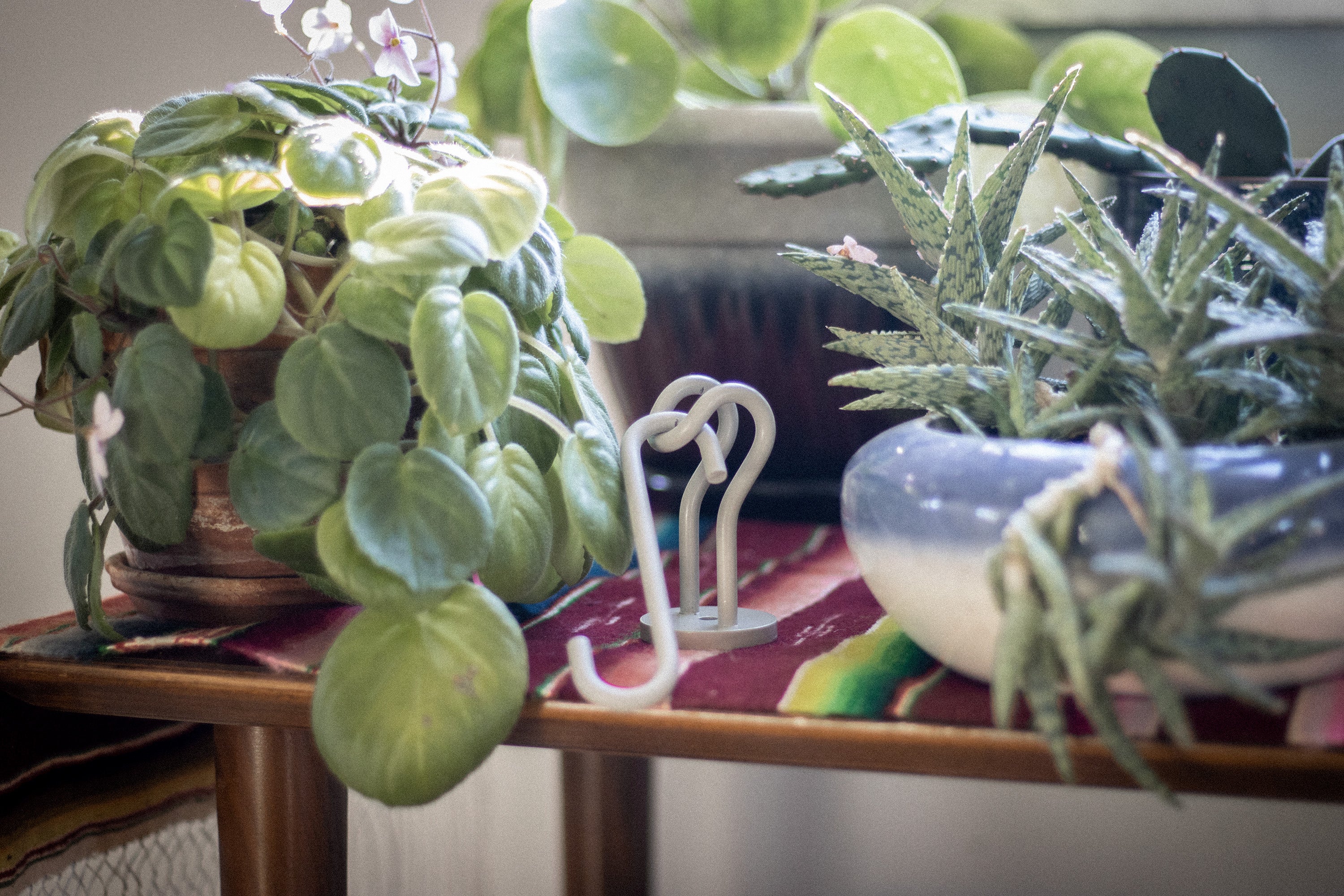 plant hanger ceiling hooks Ceiling Hook Plant Hanger | Ceiling Ring | Six Colors