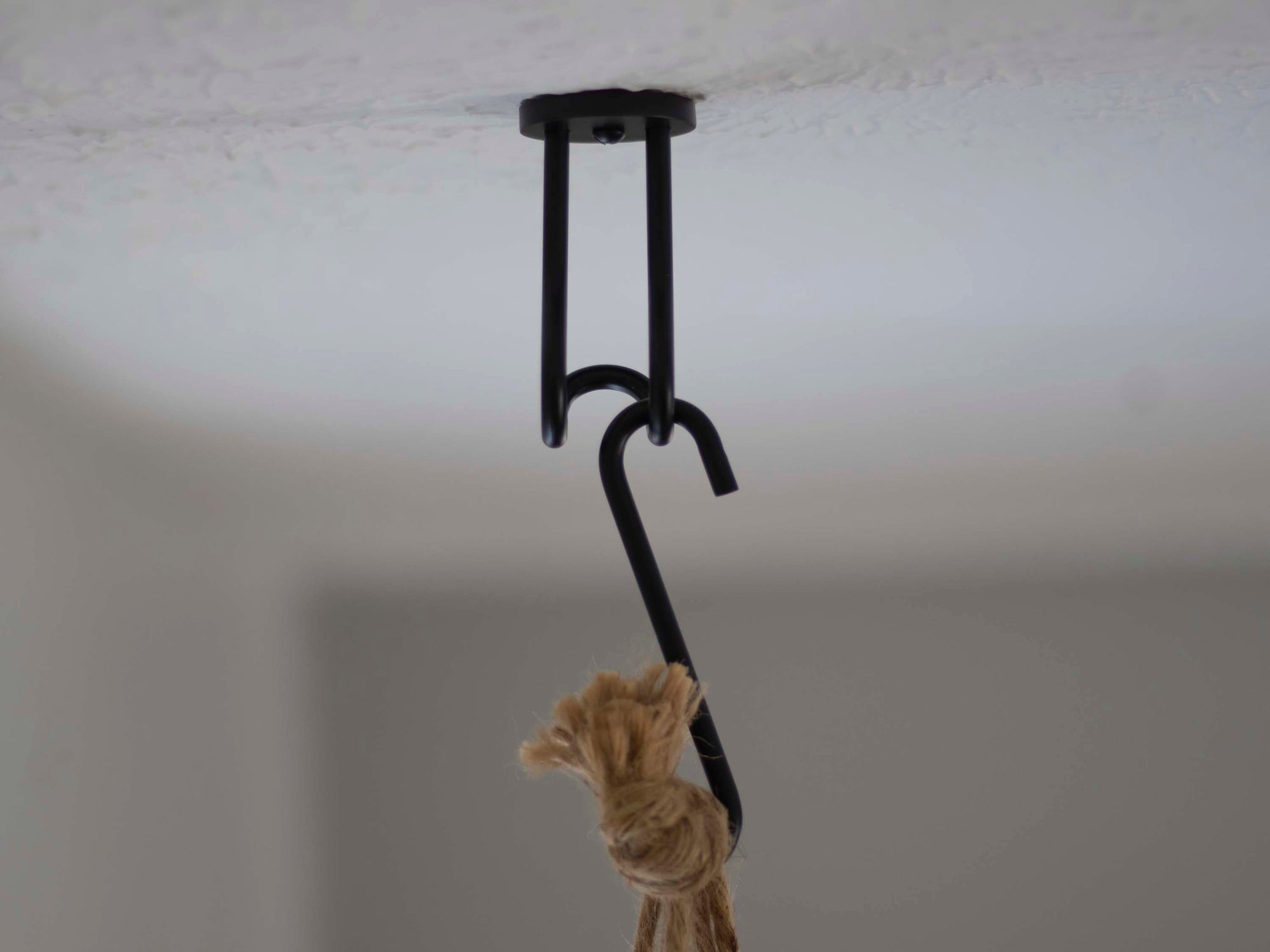 hook for hanging plant ceiling Ceiling Hook Plant Hanger | Ceiling Ring | Six Colors