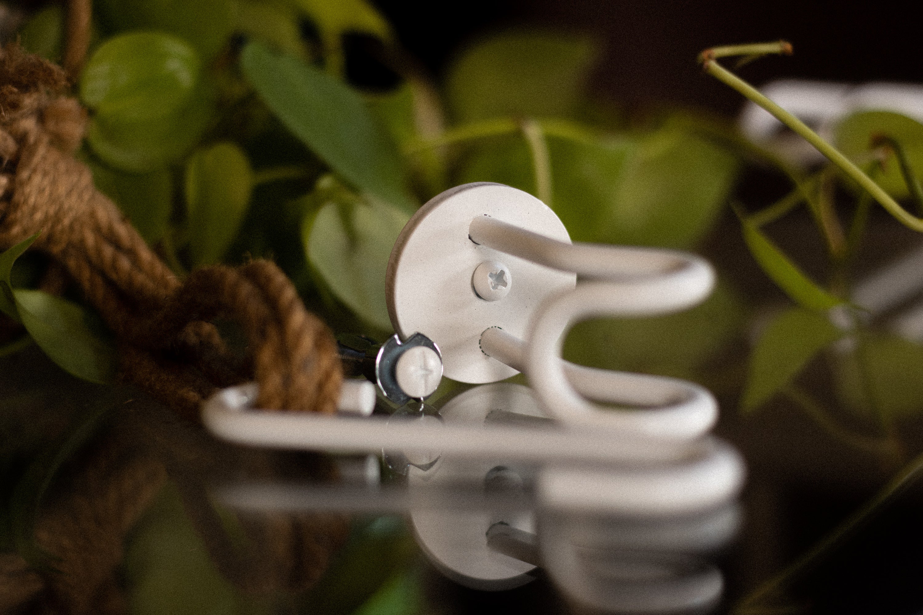 plant hanging ceiling hooks Ceiling Hook Plant Hanger | Ceiling Ring | Six Colors